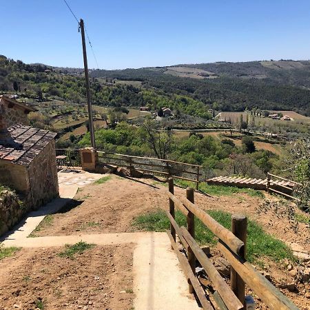 Podere Soccorso Casa Vigneto Montalcino Kültér fotó