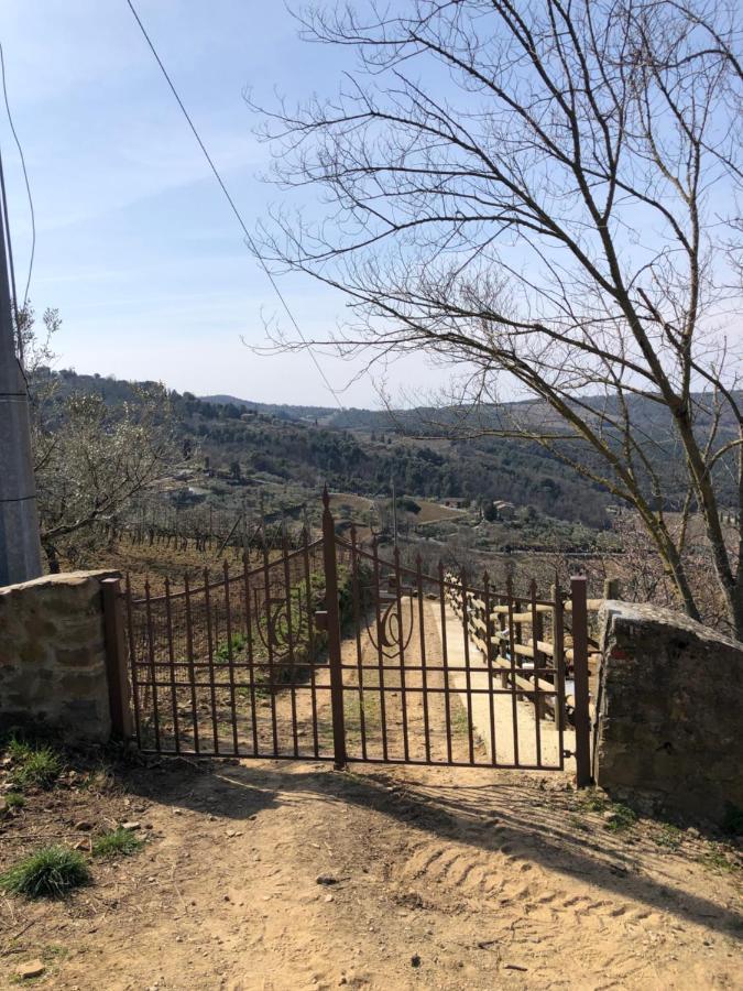 Podere Soccorso Casa Vigneto Montalcino Kültér fotó
