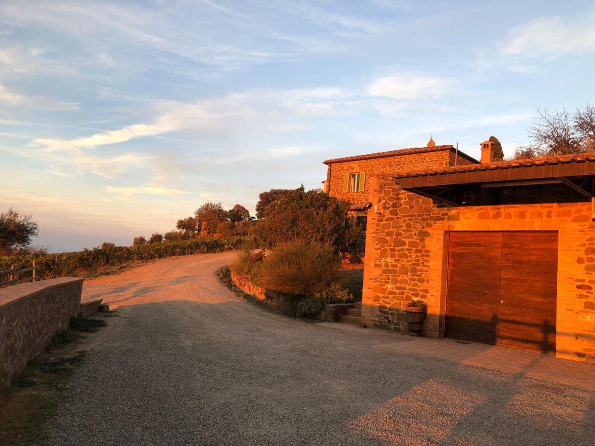 Podere Soccorso Casa Vigneto Montalcino Kültér fotó