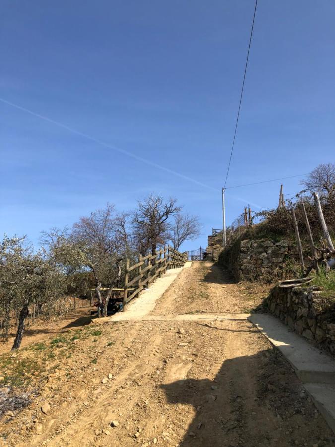Podere Soccorso Casa Vigneto Montalcino Kültér fotó