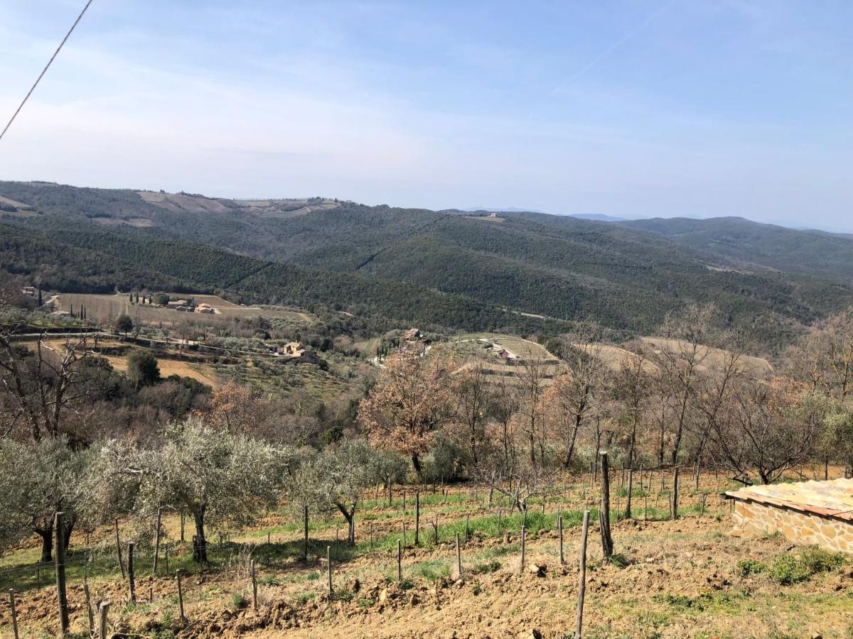 Podere Soccorso Casa Vigneto Montalcino Kültér fotó