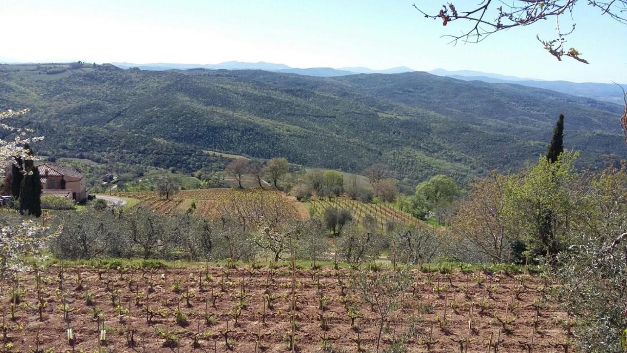 Podere Soccorso Casa Vigneto Montalcino Kültér fotó