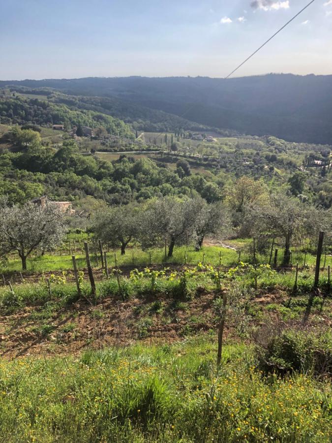 Podere Soccorso Casa Vigneto Montalcino Kültér fotó